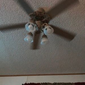 Meet your Posher, Amamanda